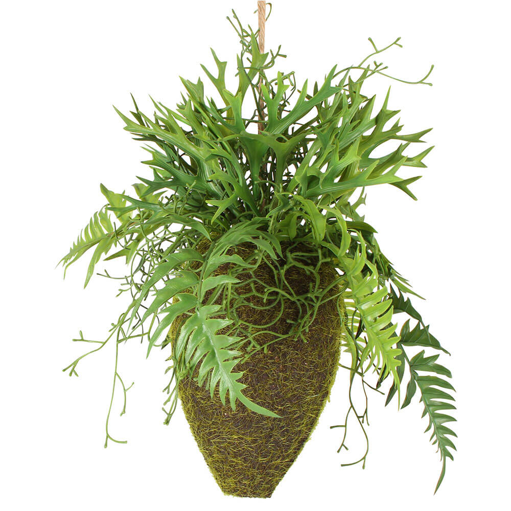 Moana Kokedama Hanging mixto