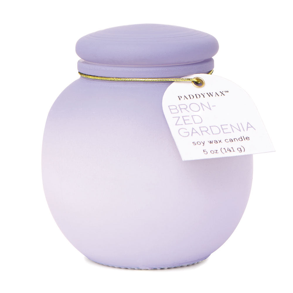 Ombre glasfartyg med lock 5oz