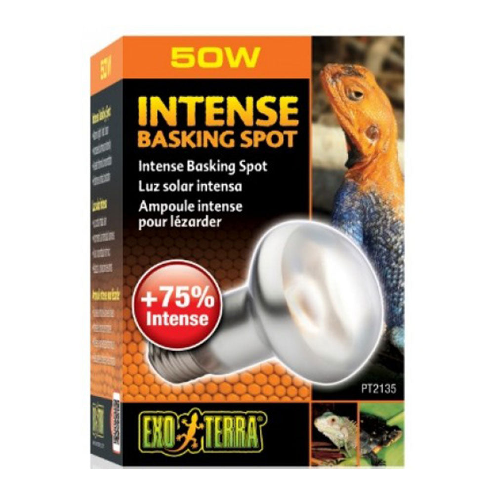 Exo terra intens basking spot lampe