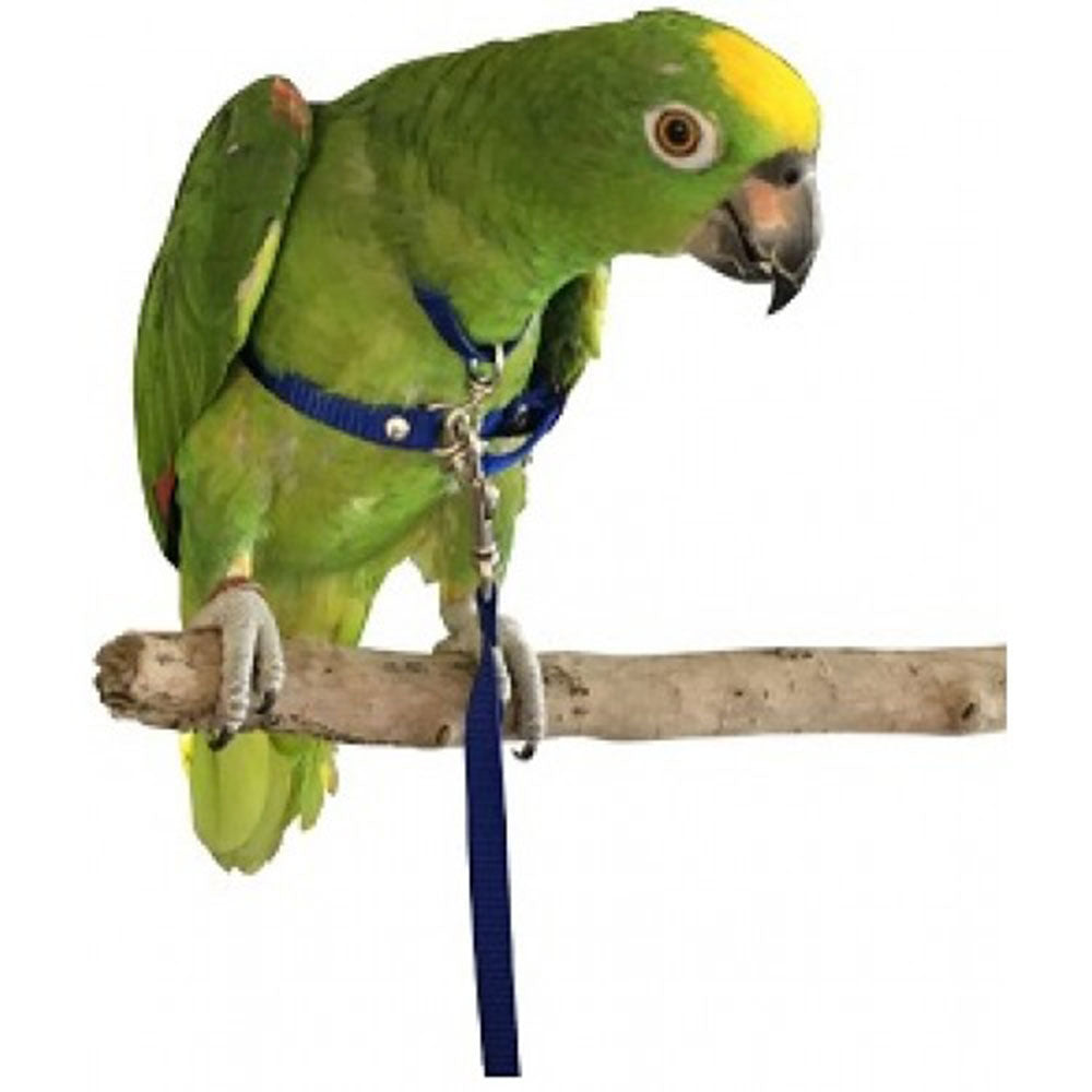 Pet Bird -sele