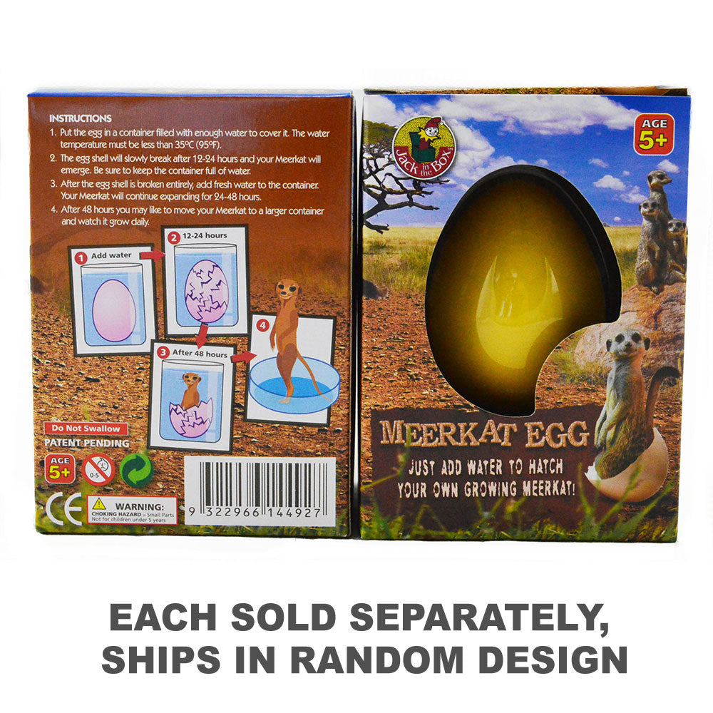 Growing Pet Egg (1pc Random Style)