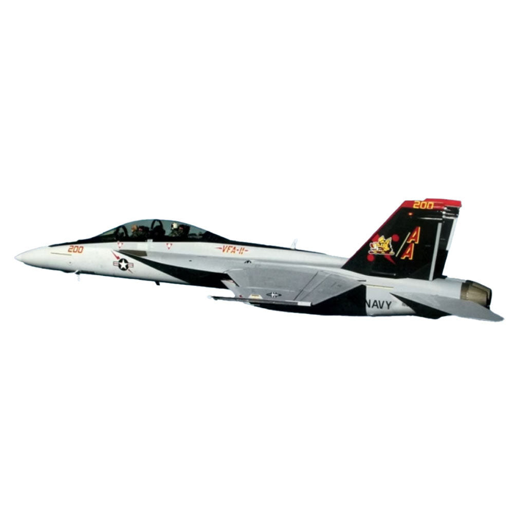 Hasegawa Super Hornet 1/72 Scale Airplane Model