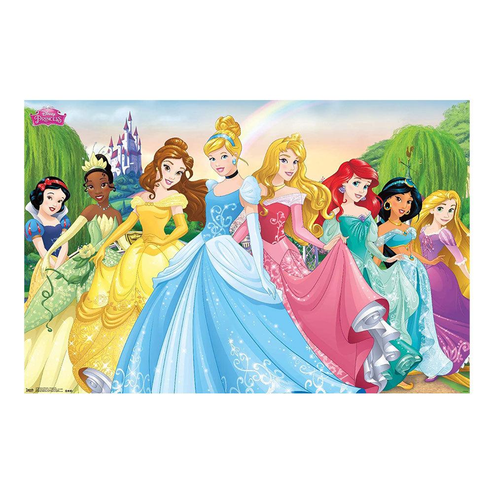 Disney Princess Plakat