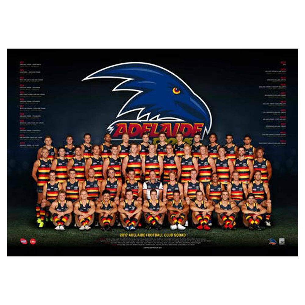 Affiche de l'équipe AFL 2017