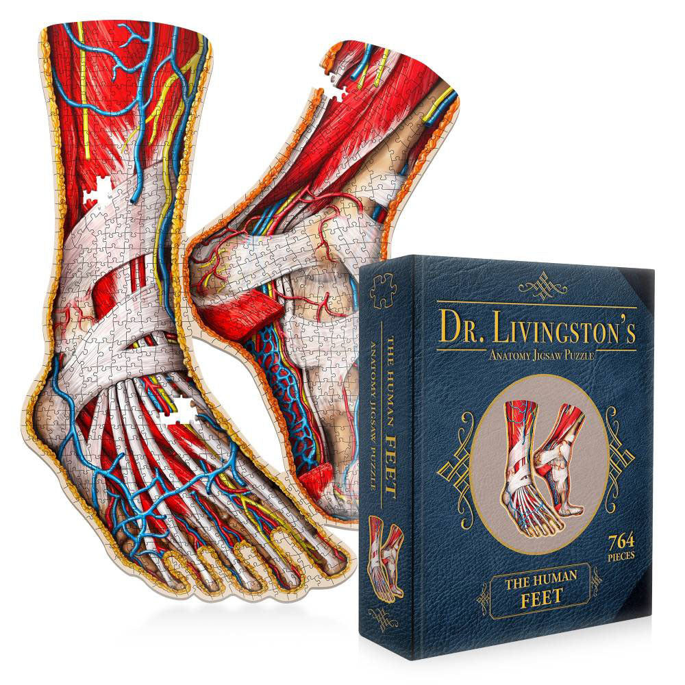 Dr Livingston's Anatomy Jigsaw Puzzle