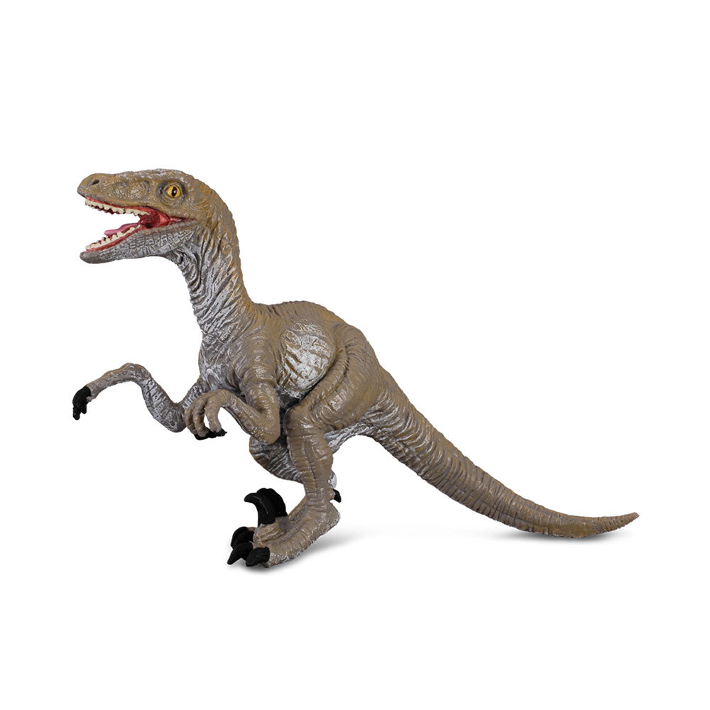 Collecta Velociraptor Dinosaurの姿