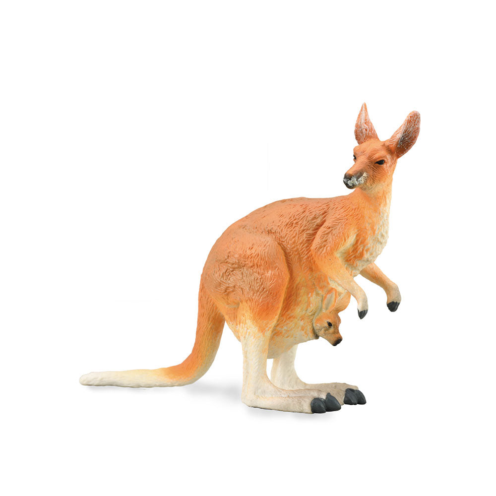 Collecta Red Kangaroo (stor)