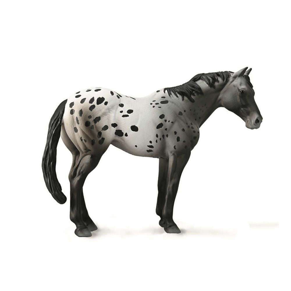 CollectA Appaloosa Stallion Figura (XL)