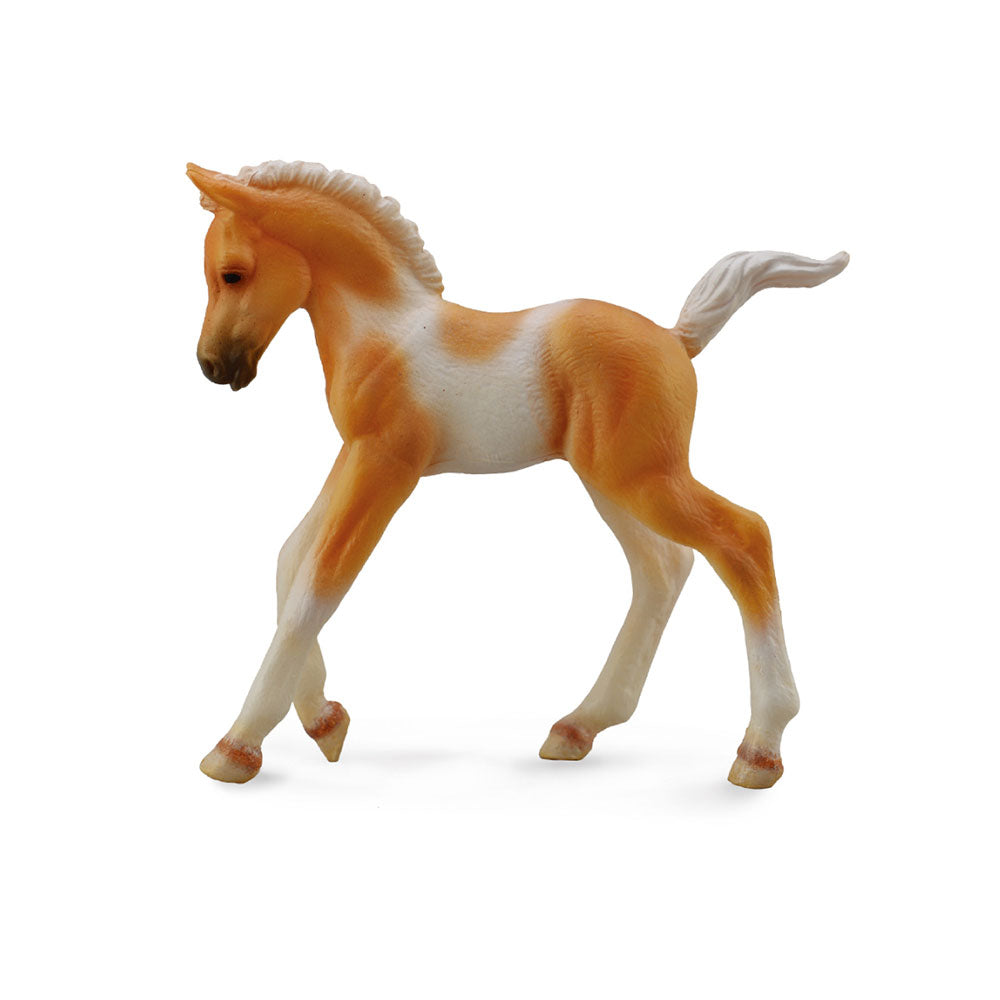 Figura palomino de Pinto Pinto Pinto (medio)