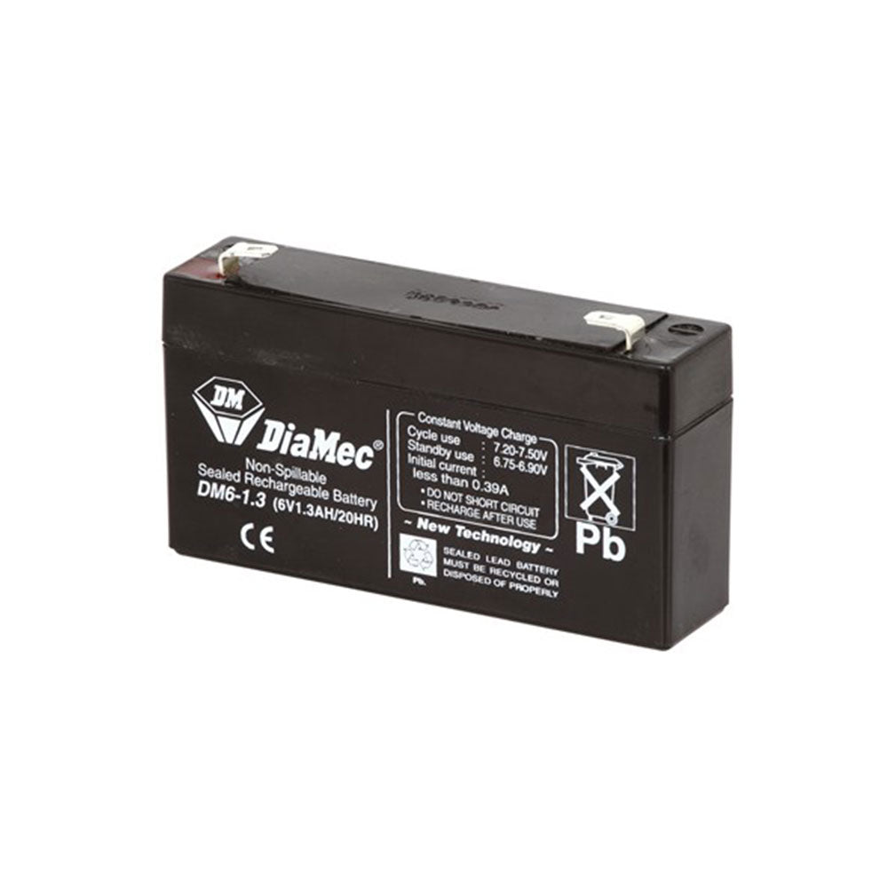 Batterie SLA rechargeable 6V