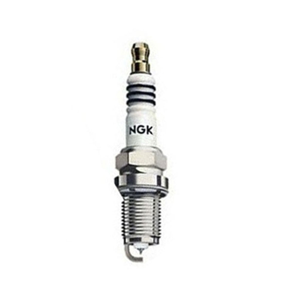 NGK Spark Plug Outboard Application