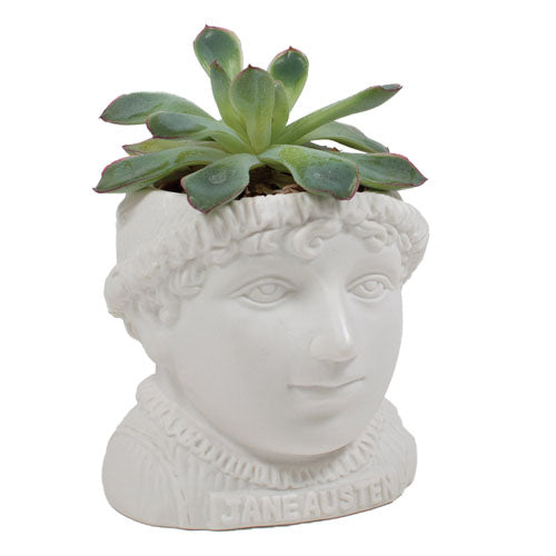 Jane Austen Planter