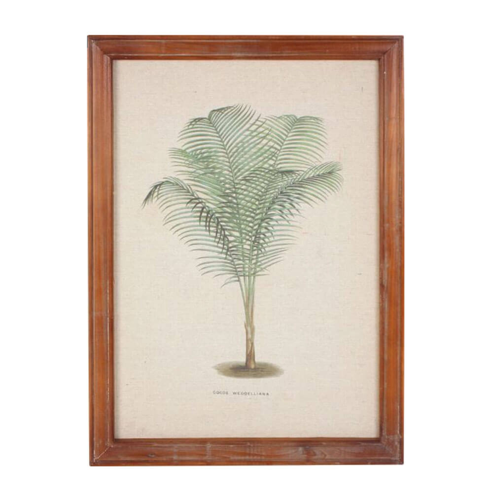 Ingelijste vintage palmwandkunst (38x52x1.8 cm)