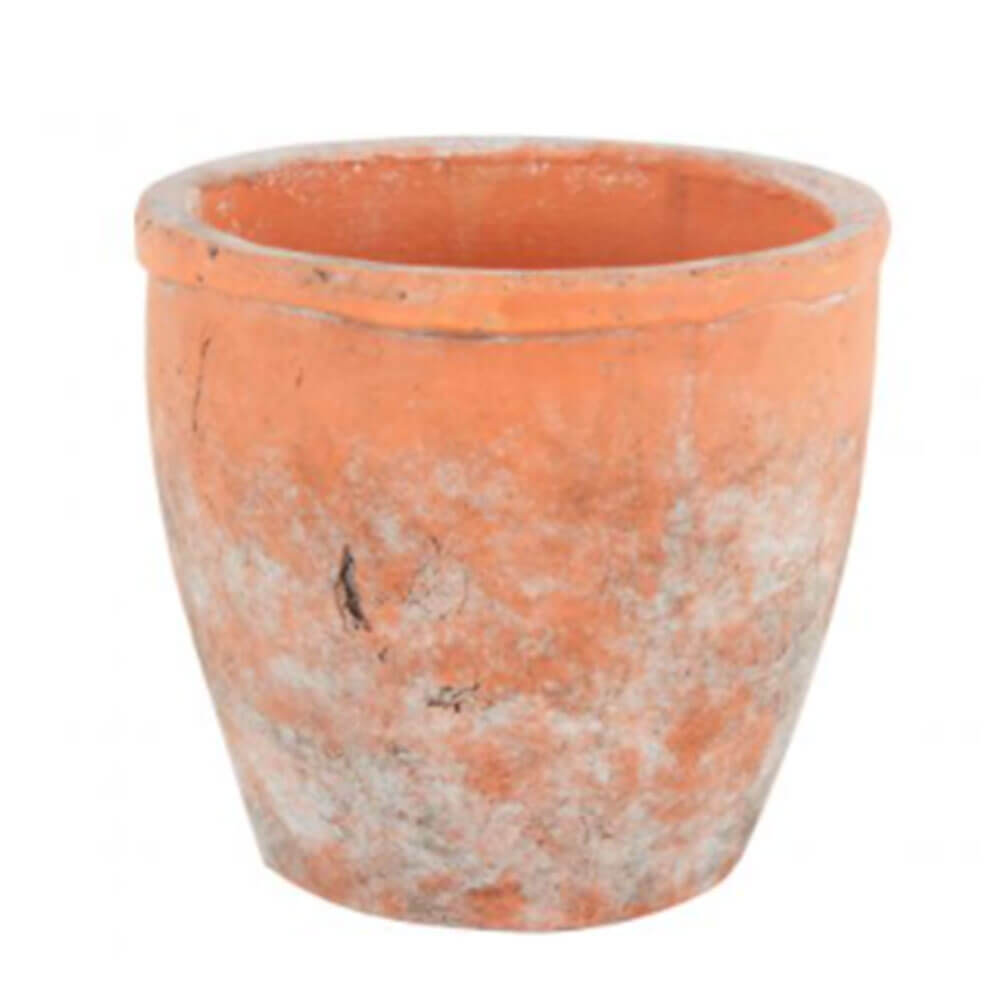 Sersi Antik ansigtsbeton Pot Terracotta