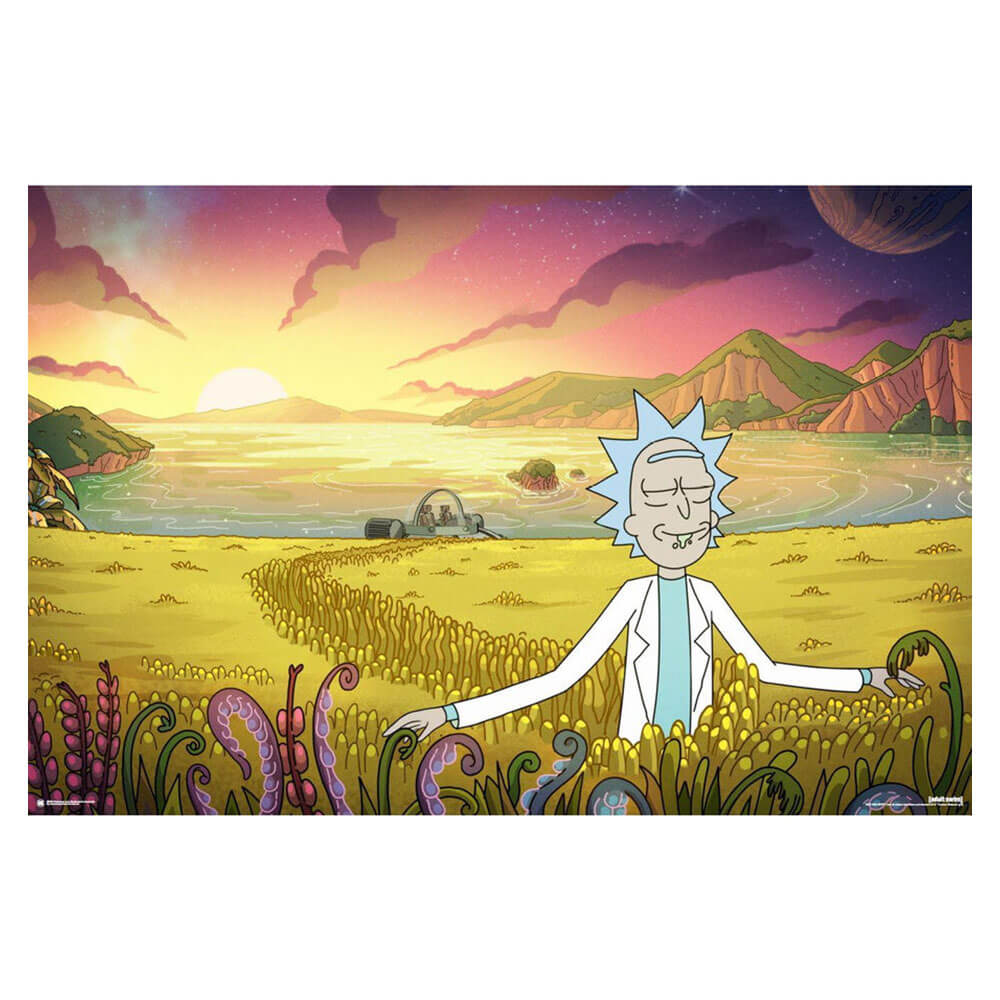 Impact Rick og Morty plakat (61x91,5 cm)