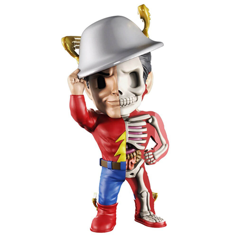 XXRAY Funny Anatomy Figure