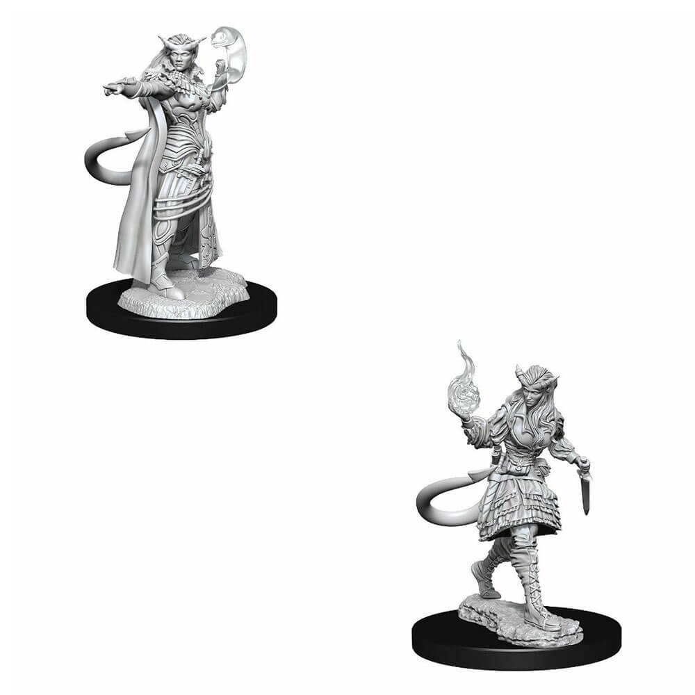 D&amp;D Nolzurs unbemalte Miniaturen