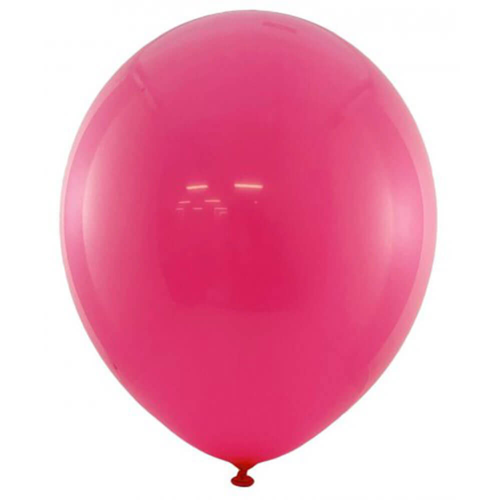 Alpen -ballonnen voor iedereen 25 cm (15 pk)