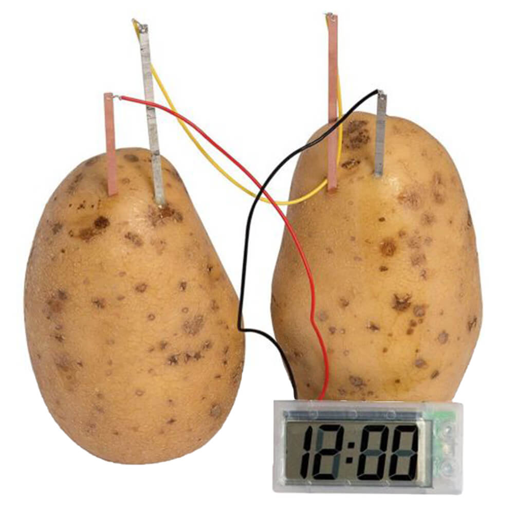 FunTime Potato Clock Toy